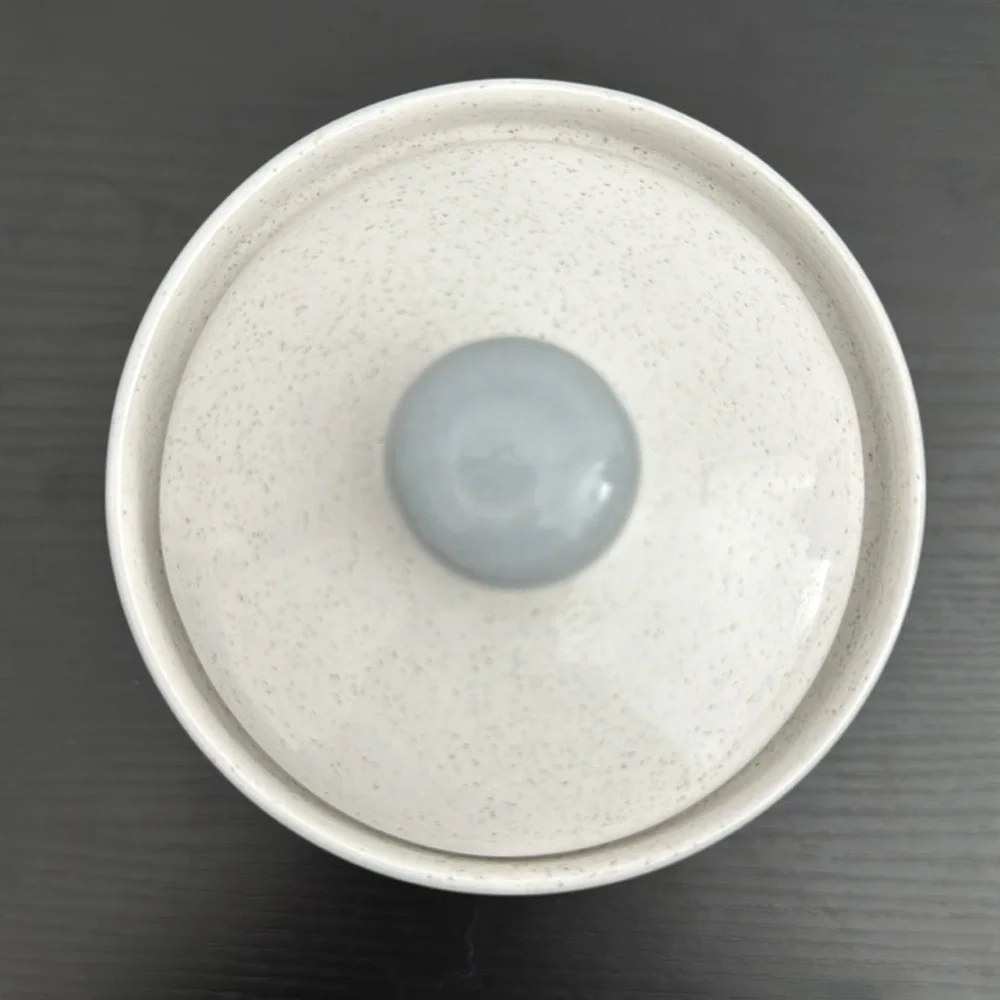Studio Nova Small Palm Desert 5.25” Canister & Lid